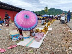 Masyarakat Penjual Durian Harapkan TPB PNS Yapen Dapat Dirasakan oleh Mereka