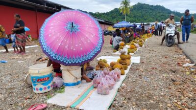 Masyarakat Penjual Durian Harapkan TPB PNS Yapen Dapat Dirasakan oleh Mereka
