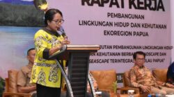 PJ Bupati Biak Numfor Hadiri Raker Pengendalian Pembangunan LHK Ekoregion Papua